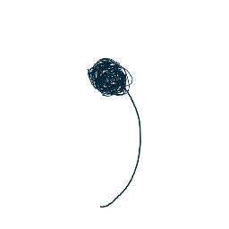 dandelion_009